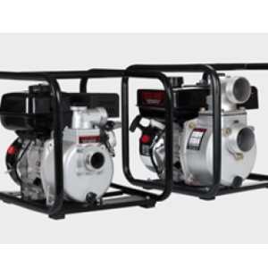 Details about   Red Lion Carburetor w/ Gaskets Line for 6RLAG-2LST 6RLAG-2LTT Gas Water Pump 