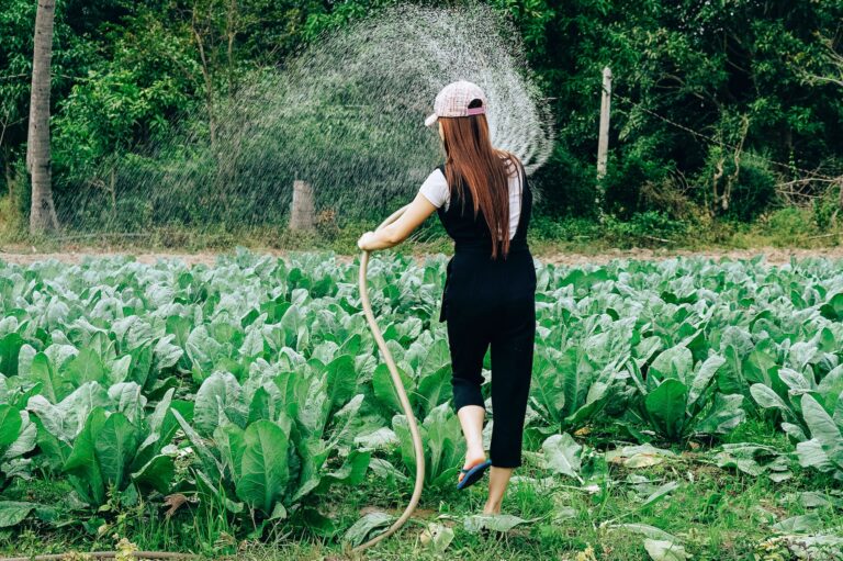 What Are The Uses Of A Water Pump And Why Is It Important