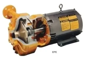 The Complete Buyer's Guide to Monarch Pump