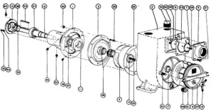 Monarch TT-20 & Franklin Electric FTT-20 Self Priming Trash Pump & Repair Parts 1 TT 20 exploded parts
