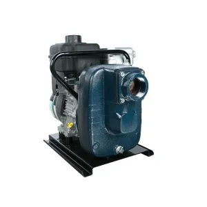 Franklin Electric FNSGF Gas Engine Self-Priming Pump