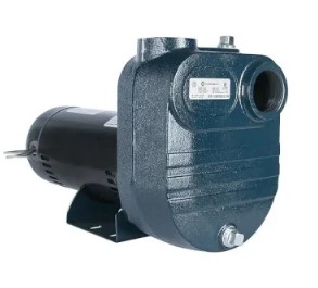 Franklin Electric FBSE-300-T Close-Coupled Self-Priming Pump