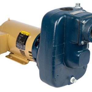 Franklin Electric FTB3CI Close-Coupled Self-Priming Pump, 3 HP, 115/230V