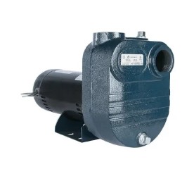 FBSE-150K Pump End 92925015