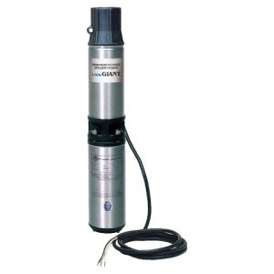 WE Series Filtered Effluent Pump