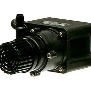 589204 – PE