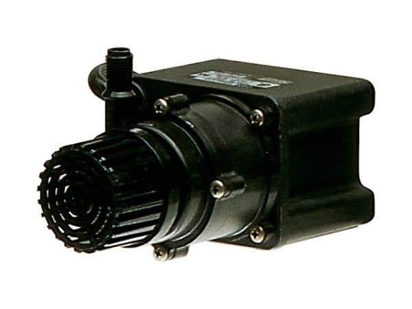 589204 – PE