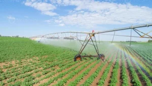 Agricultural Irrigation Pumps