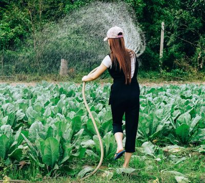 What Are The Uses Of A Water Pump And Why Is It Important